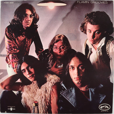 FLAMIN GROOVIES - Flamingo