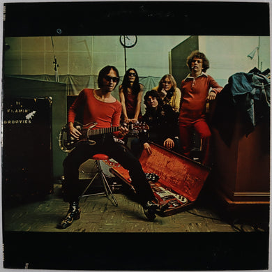 FLAMIN GROOVIES - Teenage head