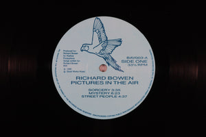 richard BOWEN - Pictures in the air