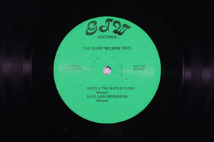 gary WILSON TRIO - Another galaxy