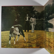 画像をギャラリービューアに読み込む, BLONDE ON BLONDE - Reflections on a life