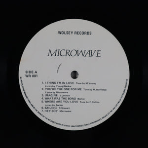 MICROWAVE – The world is still revolving