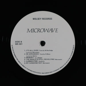 MICROWAVE – The world is still revolving