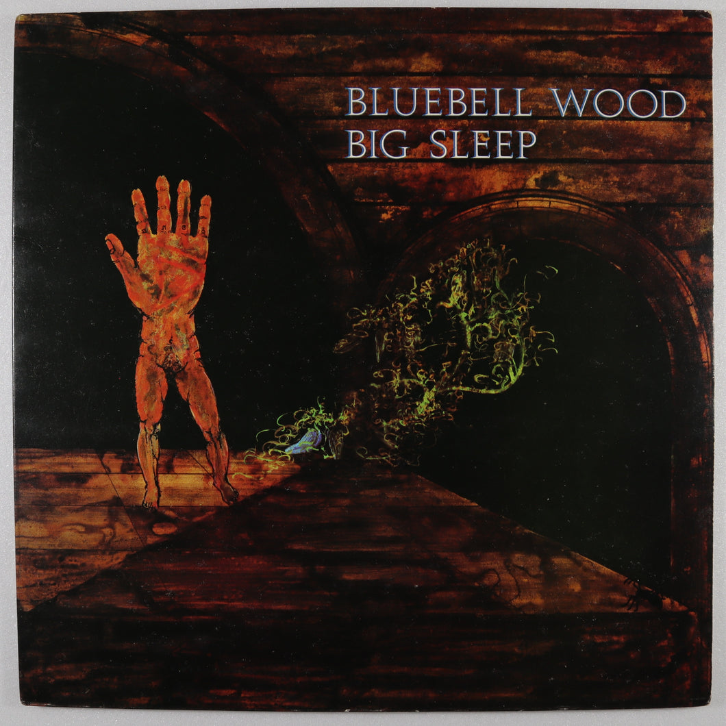 BIG SLEEP – Bluebell wood